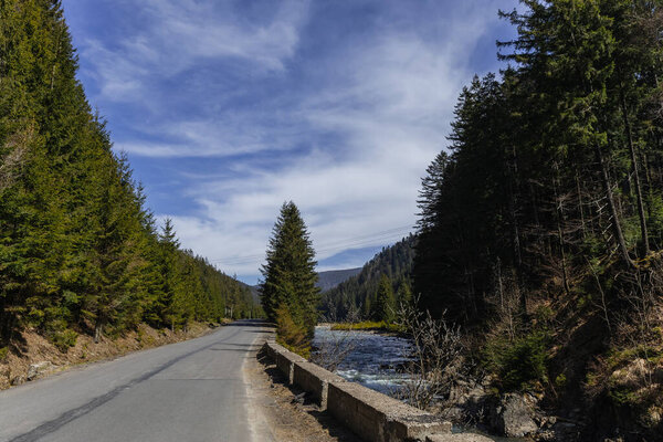River near empty road and forest in mountains 