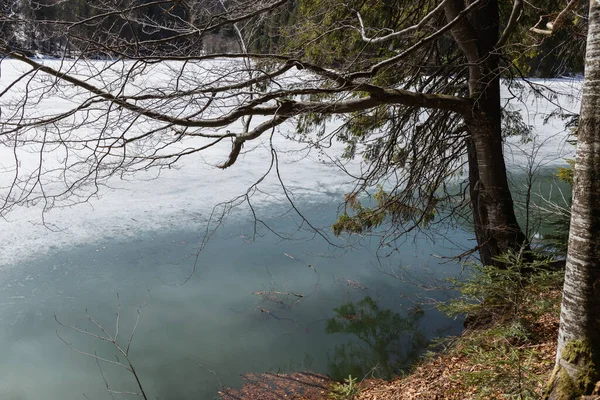 Lake with snow and ice in forest 