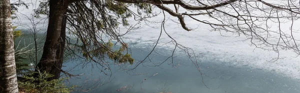 Lake with snow near trees in forest, banner 