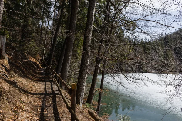 Walkway near lake with snow and trees in forest 