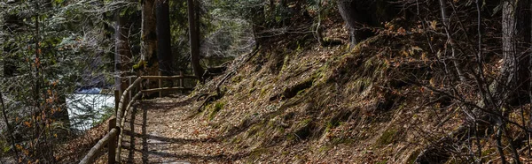 Wooden fence near walkway in forest, banner 