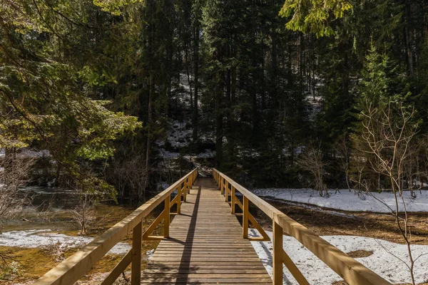 Wooden bridge above river in spring forest 