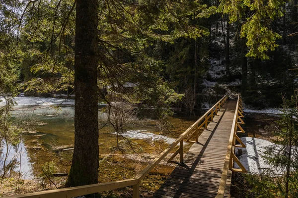 Wooden bridge above lake with ice in forest 