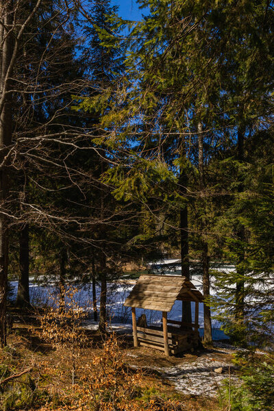 Wooden alcove near evergreen trees and snow on ground in spring 