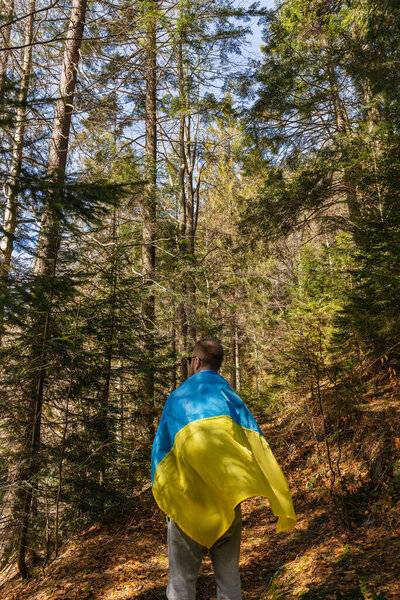 Man with Ukrainian flag in spruce forest 