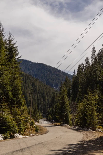Empty road, evergreen forest and mountains in spring 