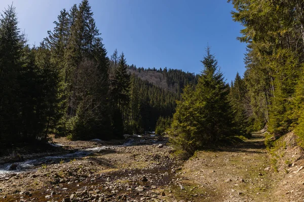 Dirty road near mountain river and forest at daylight 