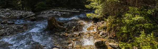 High angle view of mountain river with stones in forest, banner 