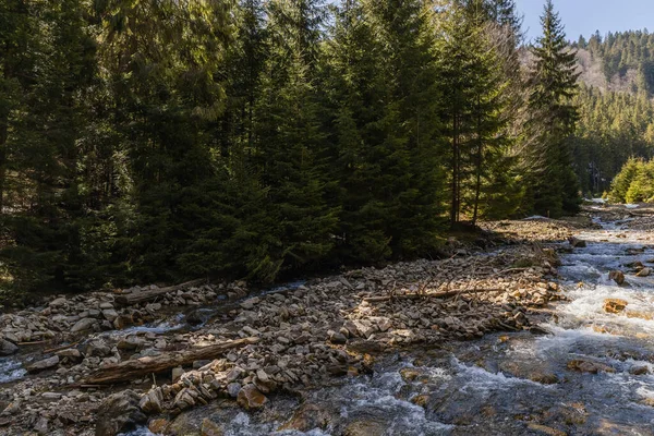 Stones and forest on shore near mountain river 