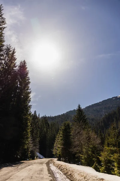 Camino Vacío Bosque Montaña Con Sol Cielo Fondo — Foto de Stock