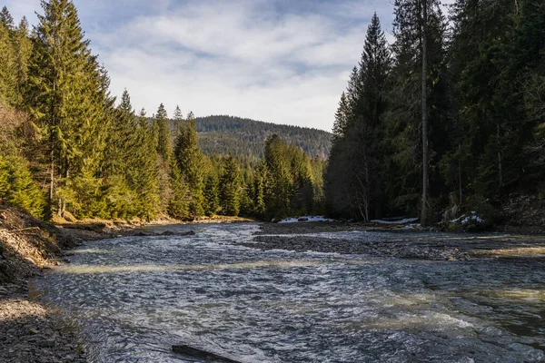 Scenic landscape of mountain river and forest with cloudy sky at background 