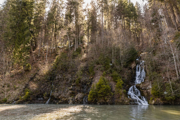 Mountain river and forest with sunlight 