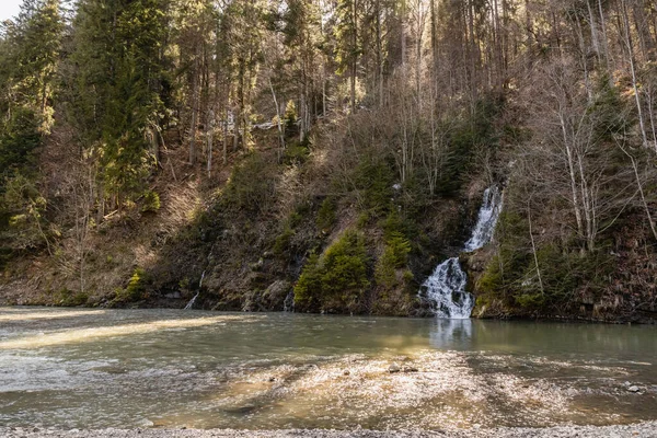 Río Montaña Con Bosque Abetos Arroyos —  Fotos de Stock