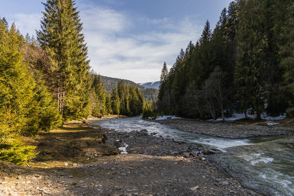 Landscape with coniferous forest and river with sky at background 