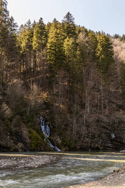 昼は山や川の上の松の木 — ストック写真