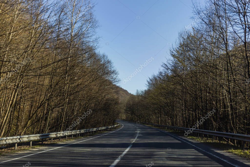 Blue sky above empty road between forest