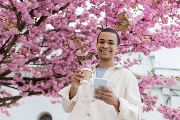在盛开的樱桃树旁 拿着外卖饮料和智能手机的快乐的非洲裔美国人的低视角 — 图库照片