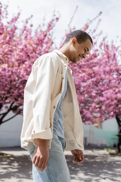 身穿衬衫夹克的快乐的非洲裔美国人走在粉色樱桃树旁的侧视图 — 图库照片