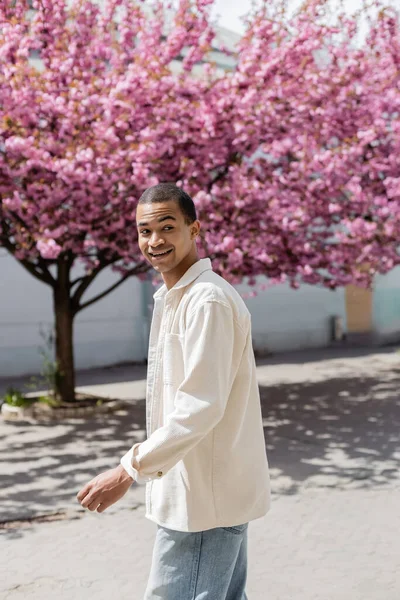 Счастливый Африканский Американец Рубашке Идущий Рядом Розовым Вишневым Деревом — стоковое фото