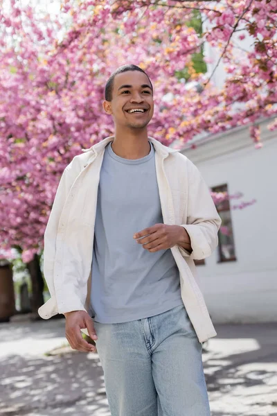 Uomo Afroamericano Camicia Giacca Camminare Vicino Albero Ciliegio Rosa — Foto Stock