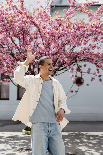 ピンクの桜の木の近くを歩くシャツのジャケットを着たアフリカ系アメリカ人 — ストック写真