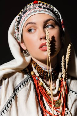 portrait of young ukrainian woman in traditional clothing with ornament near wheat spikelets on black  clipart