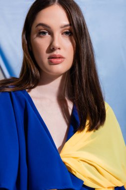 portrait of young ukrainian woman with blue eyes looking at camera on blue