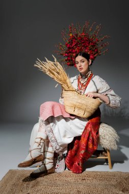 full length of brunette ukrainian woman in traditional clothes and red wreath with flowers holding bag with wheat on dark grey