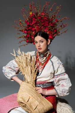 pretty ukrainian woman in traditional clothes and red wreath with berries holding bag with wheat on grey clipart