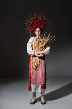 full length of brunette ukrainan woman in red wreath with berries holding wheat spikelets on black