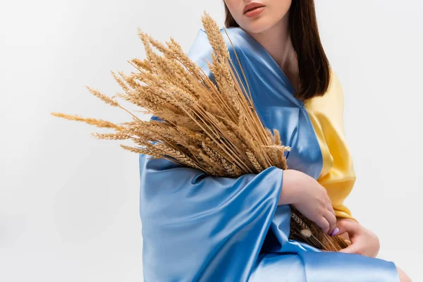 Cropped View Ukrainian Woman Covered Blue Yellow Flag Holding Wheat — Stock Photo, Image