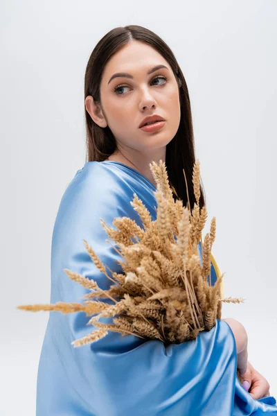 Брюнетка Українська Жінка Вкрита Синьою Драпіровкою Тримає Пшеницю Ізольовано Сірому — стокове фото