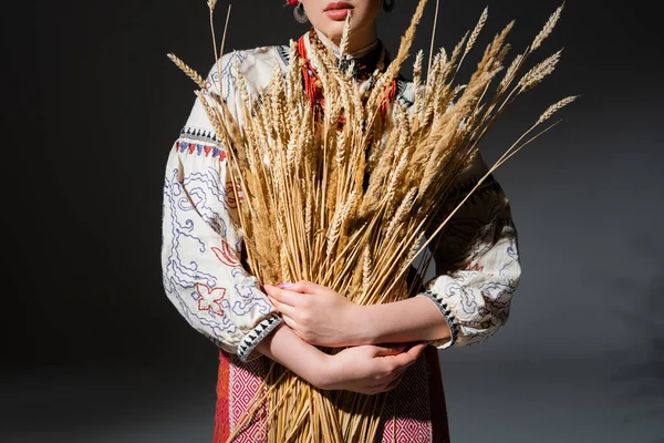 Cropped View Ukrainan Woman Traditional Shirt Ornament Holding Wheat Spikelets — Foto de Stock