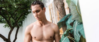 shirtless man taking shower near exotic plant outdoors, banner
