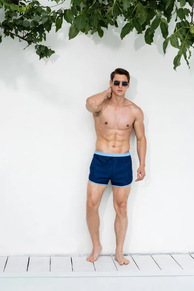 Full Length Athletic Man Swimming Trunks Sunglasses Posing White Wall — Stockfoto