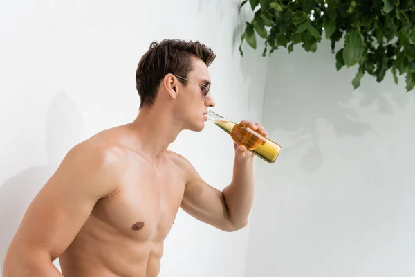 Shirtless Sportive Man Sunglasses Drinking Beer White Wall — Φωτογραφία Αρχείου