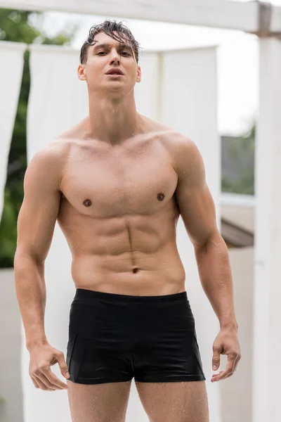 wet man with muscular torso looking at camera outdoors