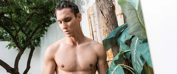 Shirtless Man Taking Shower Exotic Plant Outdoors Banner — 스톡 사진