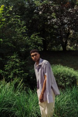 Mavi ve çizgili gömlekli Afro-Amerikan adam yeşil parktaki kameraya bakıyor.