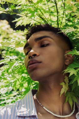 portait of african american man with piercing near leaves in park