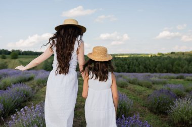back view of brunette mother and child in straw hats walking in field with blossoming lavender
