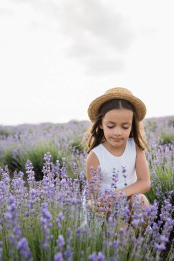 child in straw hat and white dress sitting in field with flowering lavender