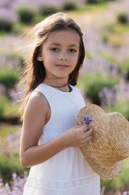 brunette girl in white dress holding sun hat and lavender flowers in blurred field