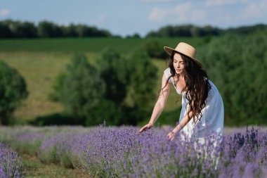 long haired woman in straw hat and white dress touching blooming lavender in field