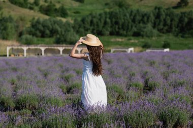 back view of brunette woman in straw hat and white dress in lavender field