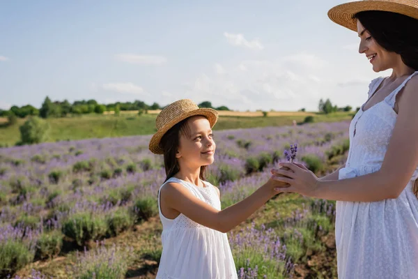 Girl Straw Hat Giving Lavender Flowers Pleased Mom — Photo