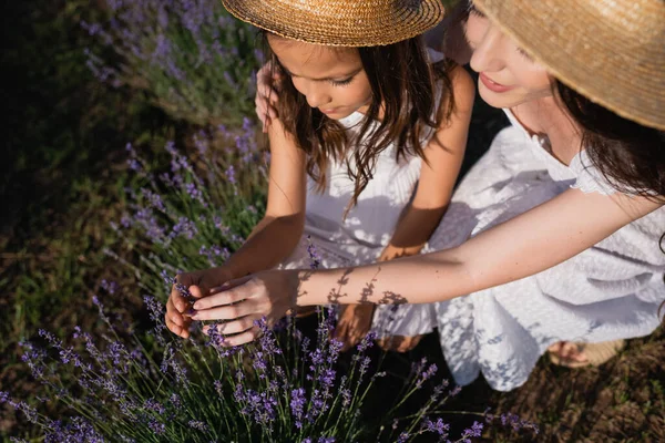 High Angle View Mother Daughter Straw Hats Field Blooming Lavender — Foto de Stock