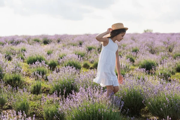 Child Straw Hat Summer Dress Walking Lavender Field — Fotografia de Stock