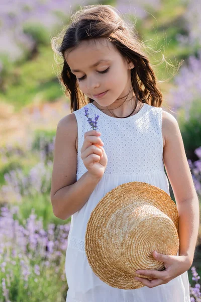 Happy Child Straw Hat Smelling Lavender Flowers Blurred Meadow — 图库照片