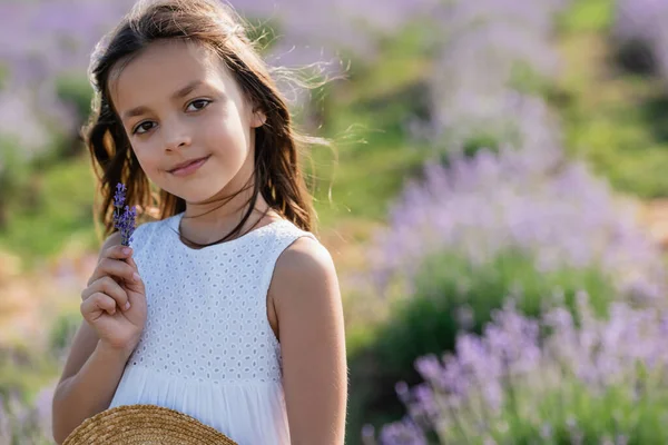 Pleased Girl White Dress Holding Lavender Flowers Looking Camera Blurred — Photo